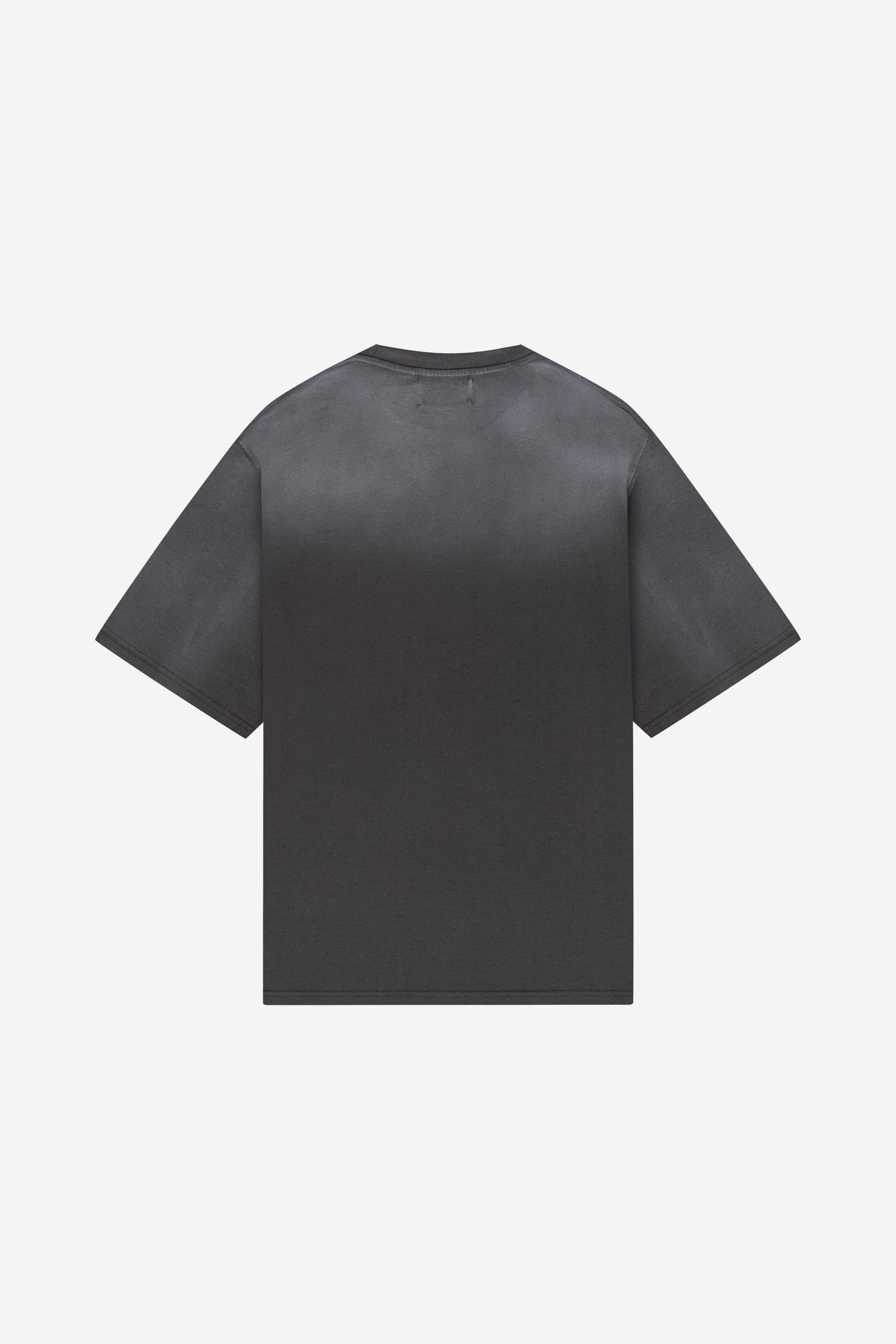 WET DREAM TEE DARK GRAY WASHED