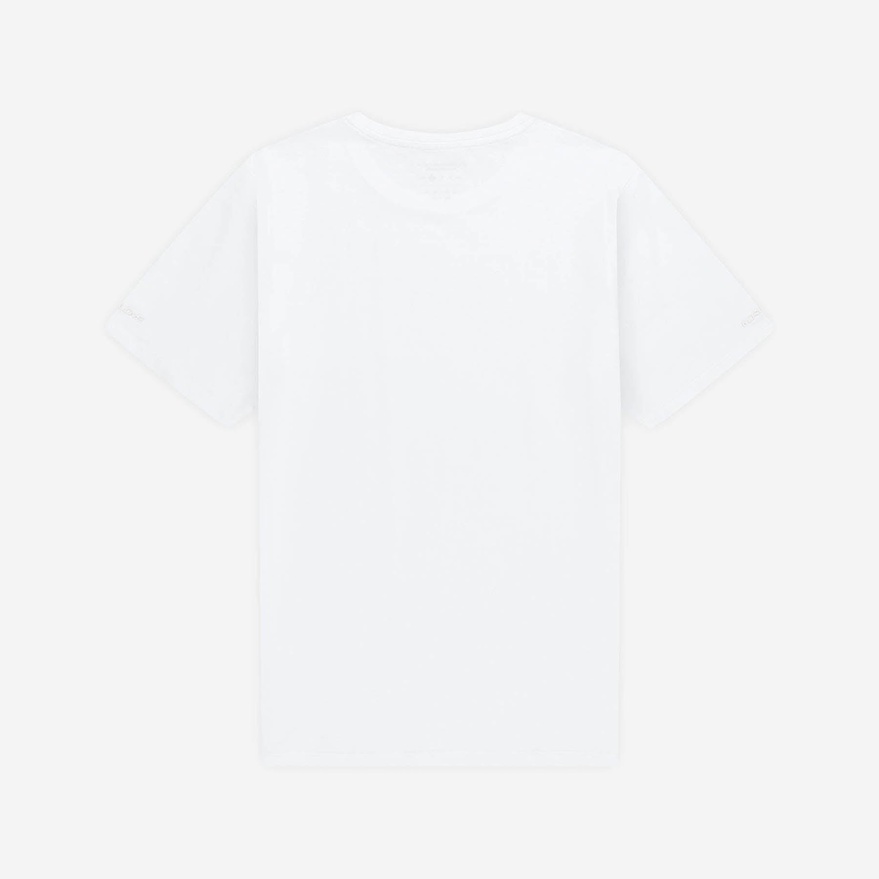 SLIM FIT TEE WHITE (2-PACK)